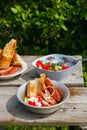 BBQ. Village lunch. grilled sausages with vegetable salad, onion and grilled bread. Royalty Free Stock Photo