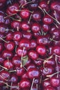 BC Cherries, Farmers Market, Chestermere, Alberta, Canada Royalty Free Stock Photo