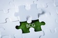 BCG concept for sustainable economic development. The inscription on a green leaf integrated into white puzzles, Bioeconomy,