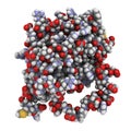 BCL-2 protein, 3D rendering. Prevents apoptosis (cell death) and often found overexpressed in cancer cells. The corresponding BCL2