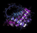 BCL-2 protein, 3D rendering. Prevents apoptosis (cell death) and often found overexpressed in cancer cells. The corresponding BCL2