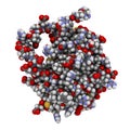 BCL-2 protein. Prevents apoptosis (cell death) and often found overexpressed in cancer cells. The corresponding BCL2 gene is a