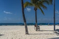 Bcycle leaning on palm tree at a white sandy beach on Isla Mujeres. Cancun Royalty Free Stock Photo
