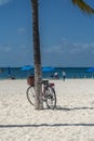 Bcycle leaning on palm tree at a white sandy beach on Isla Mujeres. Cancun, vertical Royalty Free Stock Photo