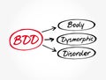 BDD - Body Dysmorphic Disorder acronym, health concept background