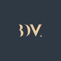 BDM abstract letter logo Royalty Free Stock Photo