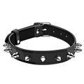BDSM Choker dog collar, black leather spikes cosplay or roleplay vector illustration