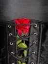 Bdsm gothic fetish corset with rose Royalty Free Stock Photo