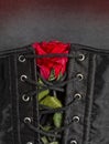 Bdsm gothic fetish corset with rose