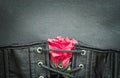 Bdsm gothic fetish corset with rose Royalty Free Stock Photo