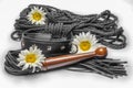 bdsm leather lash and black collar with shibari rope and yellow daisy flowers on a white background