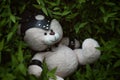 BDSM teddy bear in leather straps and mask accessory for sexual games in summer in the green grass