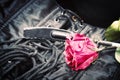 Bdsm toys and gothic corset with rose background Royalty Free Stock Photo