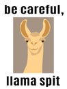 Be careful, llama split, llama portrait and warning label Royalty Free Stock Photo