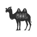 Be Cool Camel Royalty Free Stock Photo