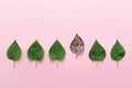 Be different concept with one leaf standing out of the crowd. Royalty Free Stock Photo