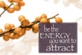 Be the Energy You Want To Attract, Karma Philosophy