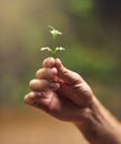 Be good to nature. an unidentifiable person holding a small plant in their hand. Royalty Free Stock Photo
