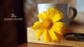 Be grateful for life. A still life concept with close-up of yellow flowers and a cup of coffee or tea on wooden tray on the table