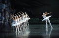 Be loath to part from each other-ballet Swan Lake Royalty Free Stock Photo