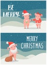 Be Merry Wishes on Christmas, Male, Female Piglets