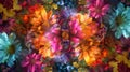 Be mesmerized by the stunning display of multicolored flowers forming a kaleidoscope of beauty and wonder Royalty Free Stock Photo