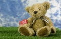 Be mine bear Royalty Free Stock Photo