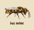 Be mine Valentine card, honey bee color vector illustration in engraving style Royalty Free Stock Photo