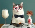 Be my valentine day card with funny cat in heart eye glasses milk and raw fish Royalty Free Stock Photo