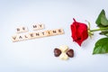 Be my valentine with red rose on white background and chocolate hearts