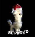 Be Proude. Vintage dog with Santa Claus hat with text Be Proud. Concept. Black background.