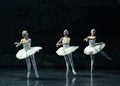 Be at she's wits' end-Three large Swan-ballet Swan Lake