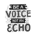 Voice not echo