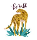 Be Wild slogan. Leopard. Typography graphic print, fashion drawing for t-shirts. Vector stickers, print, patches vintage