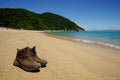 Beach at Abel Tasman National Park in New Zealand Royalty Free Stock Photo