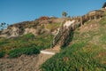 Beach access. Cliffs on the beach, native plants, palm trees, and clear blue sky