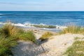 Beach access through marsh grass and sand dunes to a secluded sandy beach