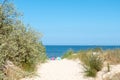 The beach access to the Baltic Sea