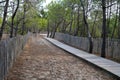 Beach access wooden pathway at atlantic sea over sand dunes with ocean in gironde France southwest Royalty Free Stock Photo