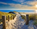 Beach access wooden pathway sea in sand dunes Royalty Free Stock Photo