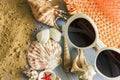 beach accessories glasses hat cockleshells on wood deck Royalty Free Stock Photo