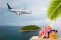 Beach accessory with palm tree and passenger airplane landing ab