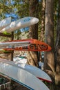 Beach activity, kayaking and boating. Rowing equipment. Colorful canoes