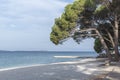 Beach at the Adriatic sea in the early morning Royalty Free Stock Photo