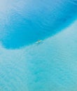 Beach aerial view on the Gold Coast. Nice top view of the blue ocean, man on a paddle boar, white sand and people enjoying a walk. Royalty Free Stock Photo