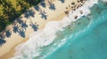 Beach aerial view of sand and palm trees Royalty Free Stock Photo