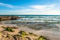 Beach with algas on a coast in Majorca on a stormy day