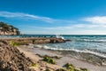 Beach with algas on a coast in Majorca on a stormy day Royalty Free Stock Photo