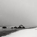 Norwegian coast, covered with snow during a snowstorm Royalty Free Stock Photo