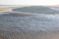 Beach of Ameland Island along North Sea coast, Holland Royalty Free Stock Photo